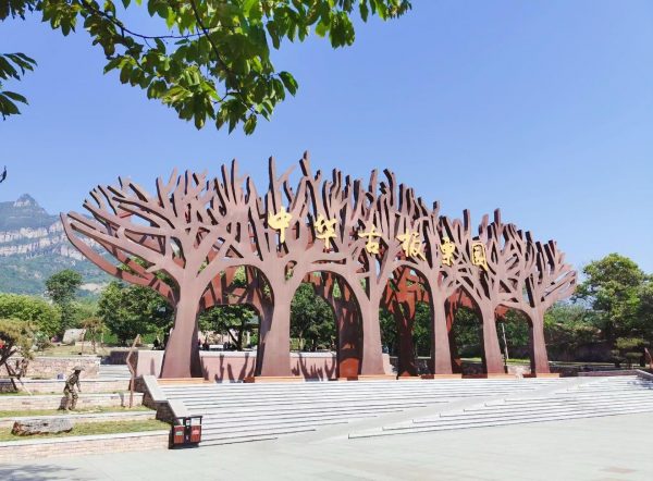 中华古板栗园